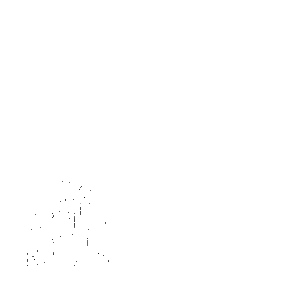 due protoni